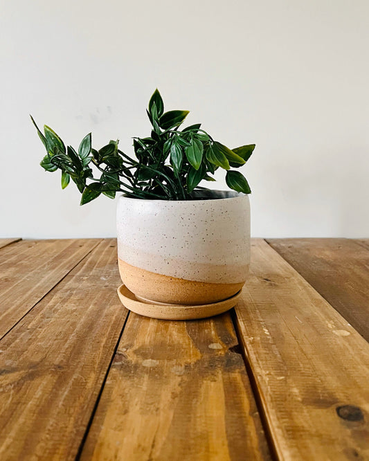 Round-Bottom Pot and Saucer - White - Handmade Ceramic