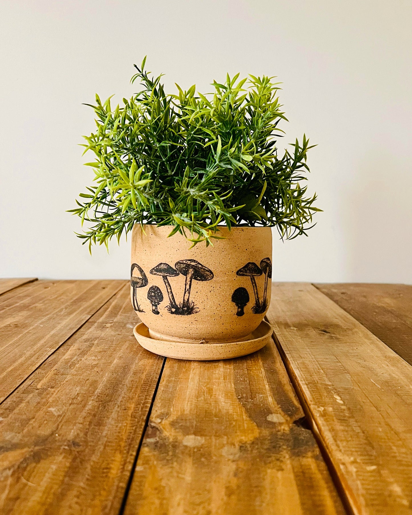 Handmade Stoneware Mushroom Planter with Saucer