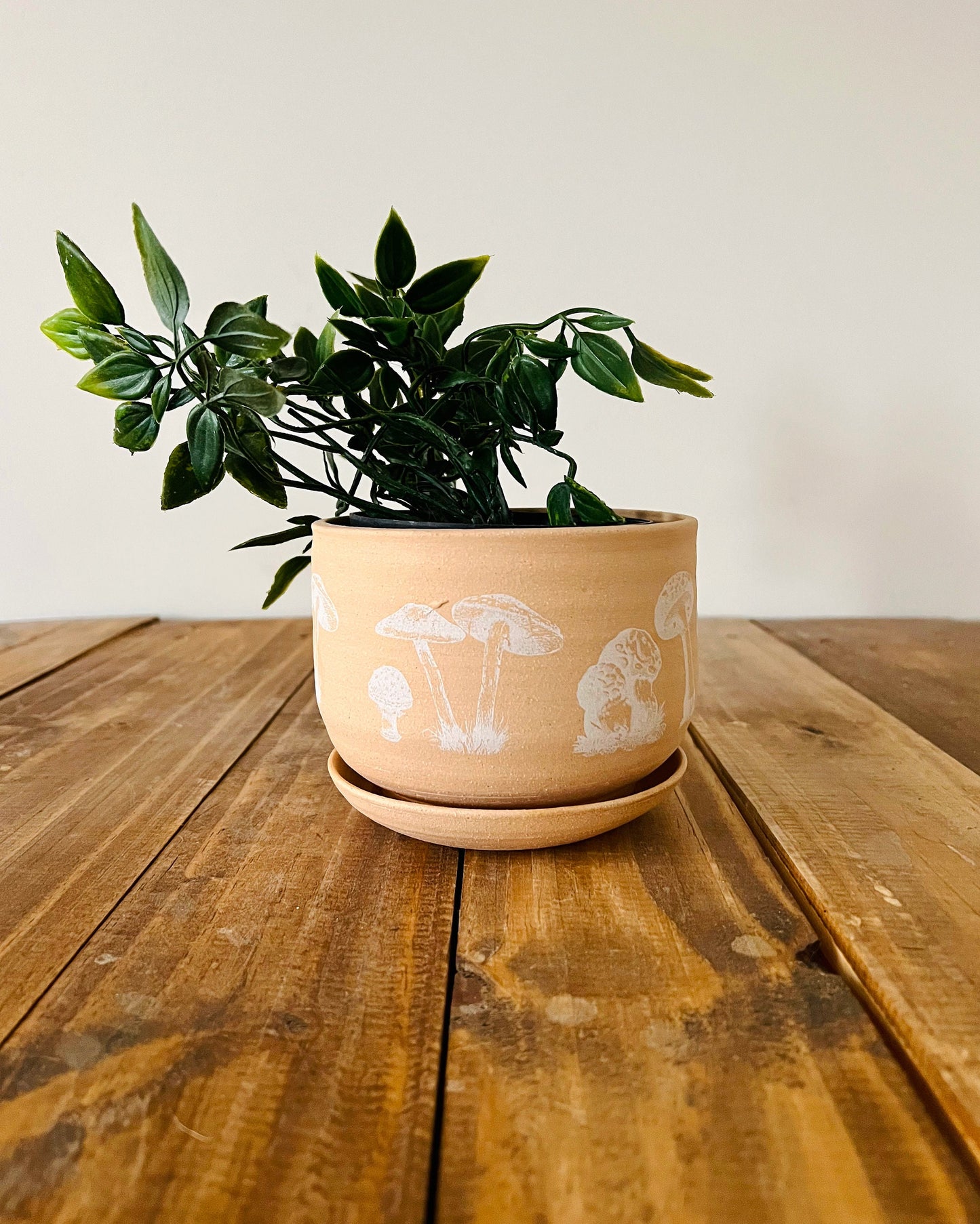 Handmade Stoneware Mushroom Planter with Saucer