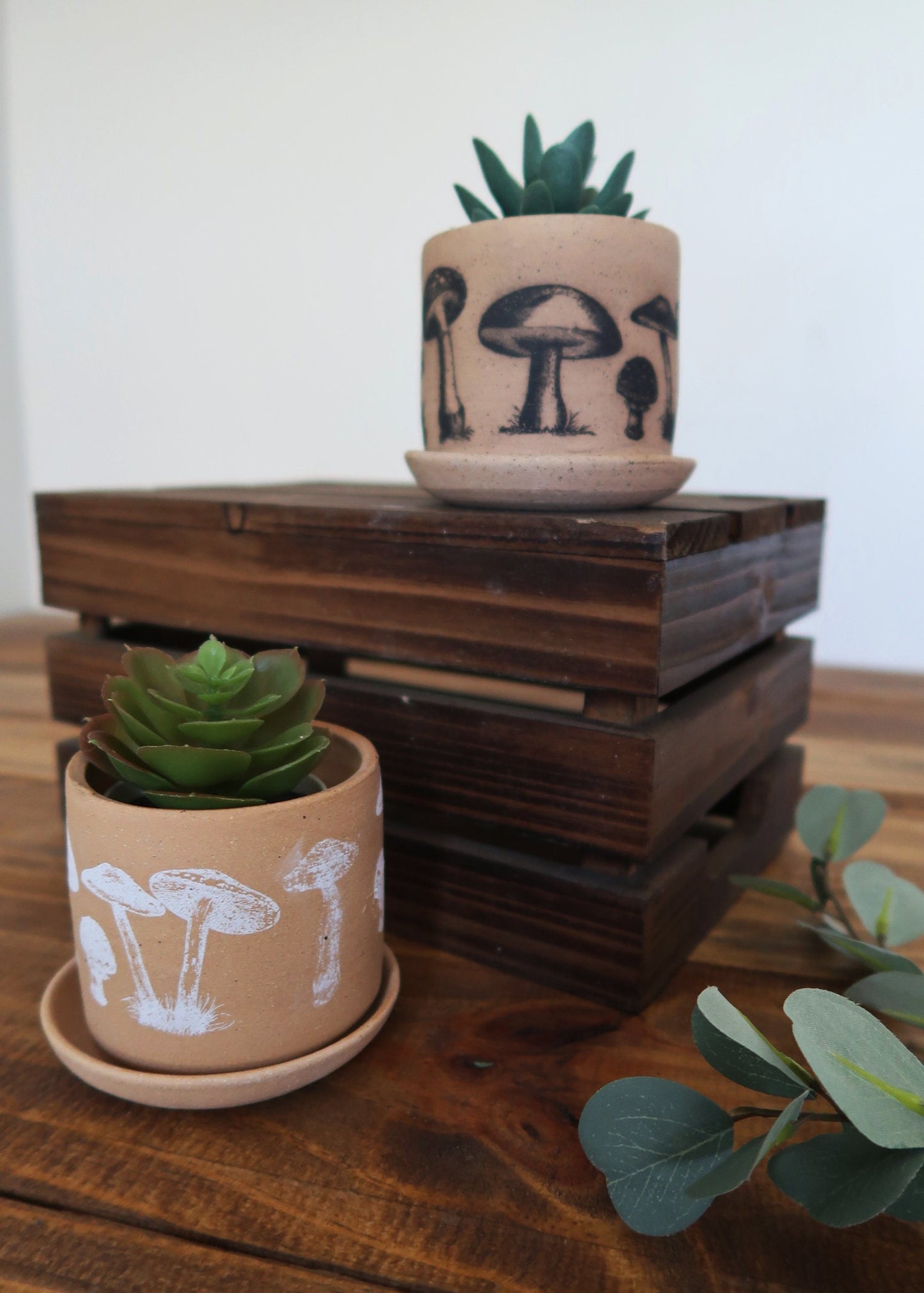 Handmade Ceramic Mushroom Pot with Saucer - Cylinder Stoneware Planter