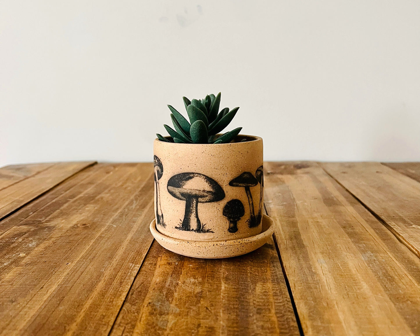 Handmade Ceramic Mushroom Pot with Saucer - Cylinder Stoneware Planter