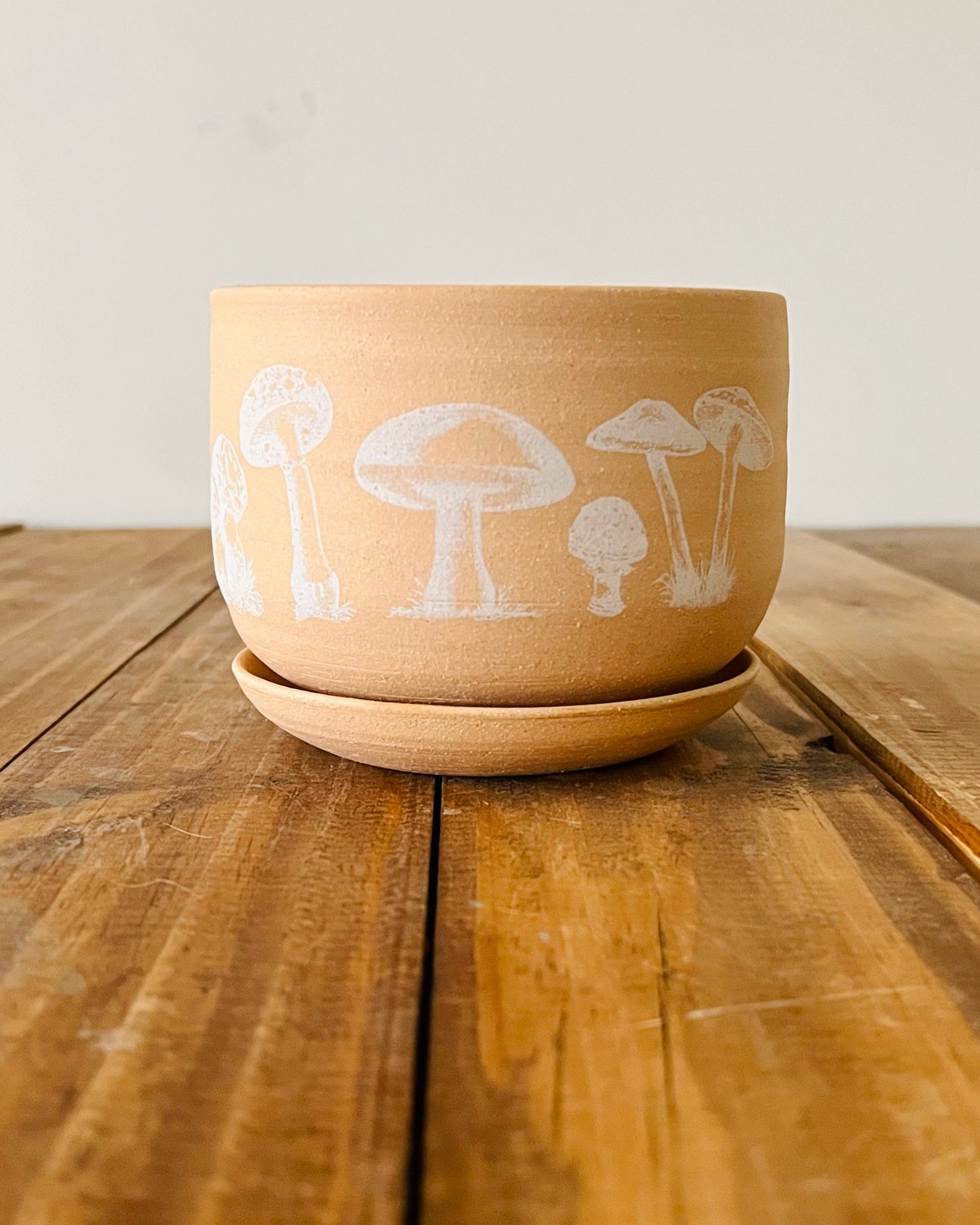 Handmade Stoneware Mushroom Planter with Saucer