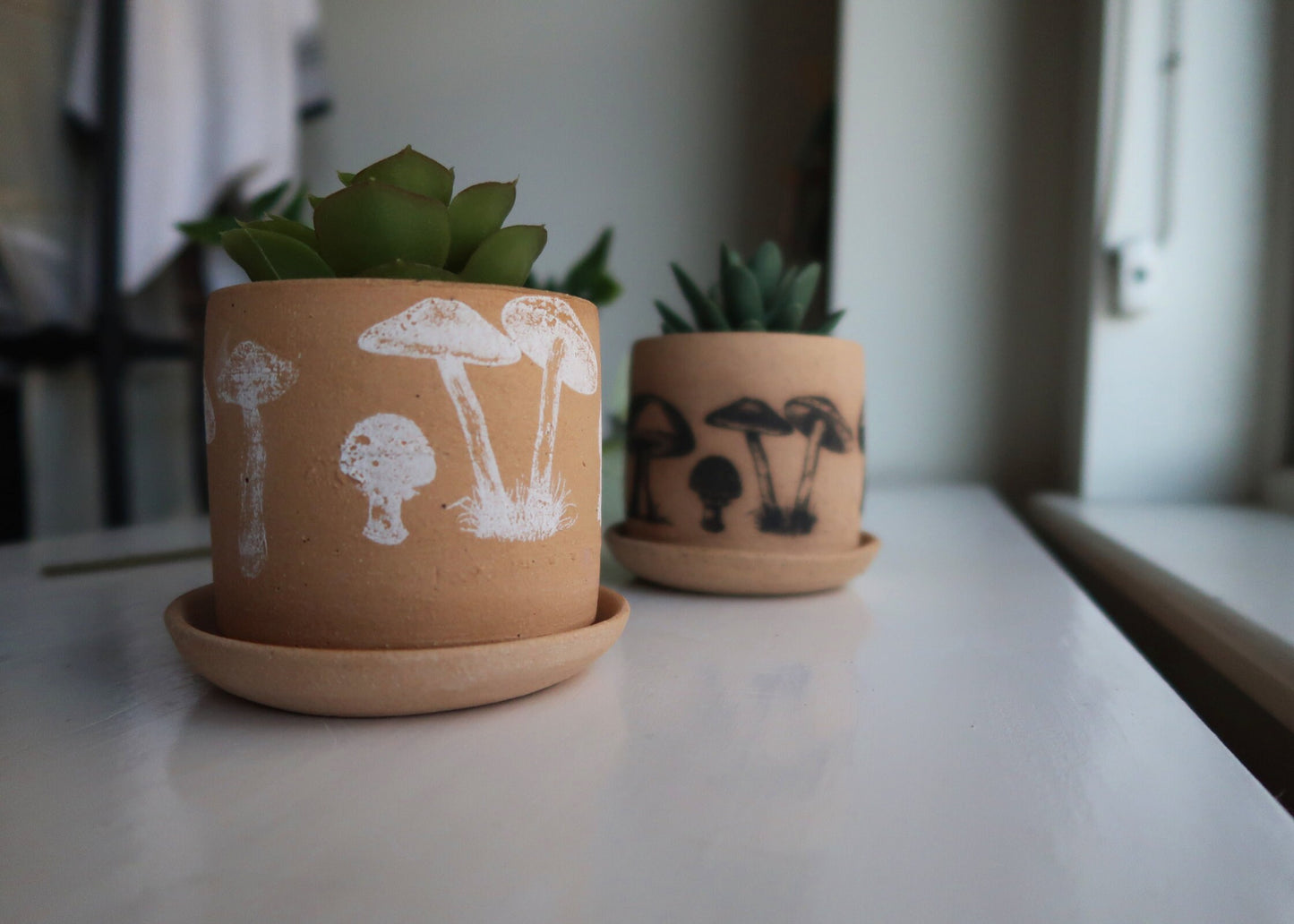 Handmade Ceramic Mushroom Pot with Saucer - Cylinder Stoneware Planter