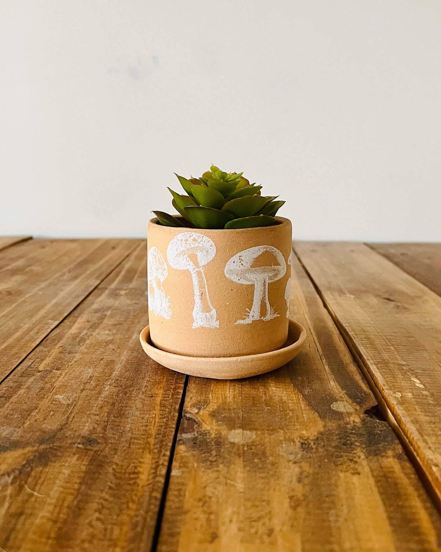 Handmade Ceramic Mushroom Pot with Saucer - Cylinder Stoneware Planter