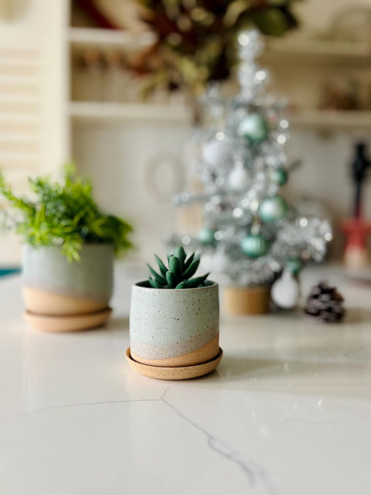 Handmade Ceramic Succulent Pot with Saucer - 3 inch - Speckled or Smooth